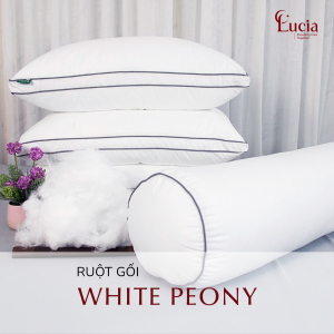 Ruột gối White Peony