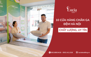 Danh sách 10 cửa hàng chăn ga đệm Hà Nội chất lượng, uy tín