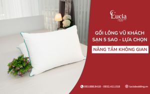 Gối lông vũ khách sạn 5 sao - Lựa chọn nâng tầm giấc ngủ 