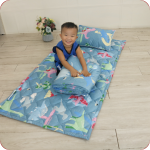 Bộ Chăn Gối Mầm Non | Cotton Satin Hàn Quôc | Khủng Long