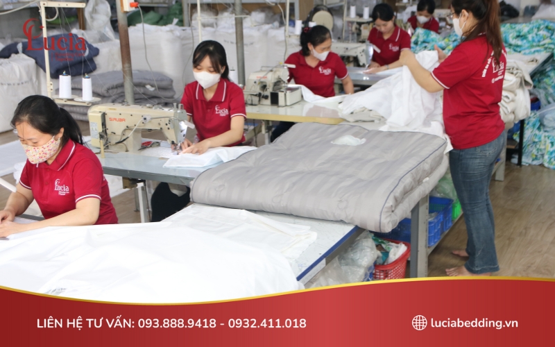 Lucia Bedding - Thương hiệu chuyên cung cấp chăn ga gối khách sạn, spa chất lượng tại Việt Nam