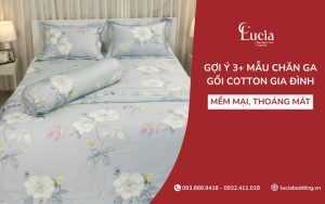 Gợi ý 3+ mẫu chăn ga gối cotton cho gia đình mềm mại, thoáng khí