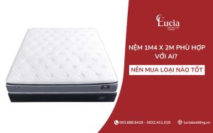 Nệm 1m4 x 2m phù hợp với ai? Nên mua loại nào tốt nhất?