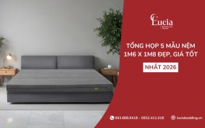Tổng hợp 5 mẫu nệm 1m6 x 1m8 đẹp, giá tốt nhất năm 2026 
