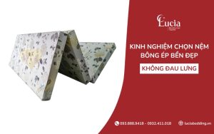 Kinh nghiệm chọn nệm bông ép bền đẹp, không đau lưng