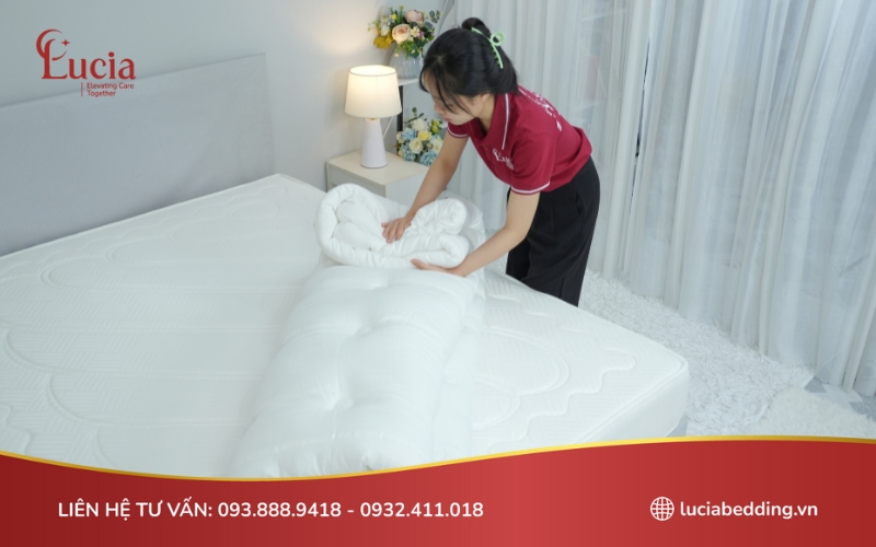 Lucia Bedding - Đơn vị chuyên cung cấp chăn ga gối nệm topper uy tín hàng đầu