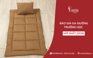 Báo giá ga giường trường học mới nhất [2026]