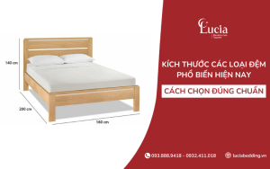 Kích thước các loại đệm phổ biến hiện nay và cách chọn đúng chuẩn