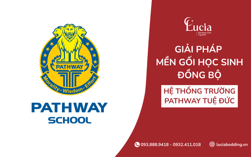 Giải pháp mền gối học sinh đồng bộ tại Hệ thống Trường Pathway Tuệ Đức